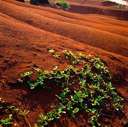 微软默认收集玩家游戏数据训练AI 多数玩家毫不知情